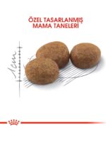 Royal Canin Sterilised37 Kısırlaştırılmış Kediler Için Kuru Kedi Maması 15kg - Görsel 7