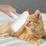 Buffer Hazneli Kedi Köpek Evcil Hayvan Kazak Kıyafet Elbise Halı Yatak Tüy Temizleyici Kıl Toz Toplayıcı - Görsel 3