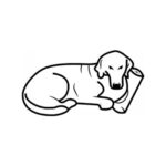 Pet Comfort Hotel  Açık Kahverengi Kedi ve Köpek Yatağı S 50cm - Görsel 4