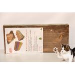 Sdf Kedi, Tırmalama, Karton, Düz, 23*47*4 - Görsel 5