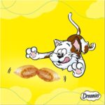 Dreamies Whiskas Dreamies Kedi Ödülü Mix Somonlu Peynirli 60 gr x 24 Adet - Görsel 3