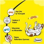 Dreamies Whiskas Dreamies Kedi Ödülü Mix Somonlu Peynirli 60 gr x 24 Adet - Görsel 4