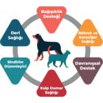 Synbiocure Probiyotik ve Prebiyotik Kedi Takviyesi 30 * 2 gr - Görsel 2