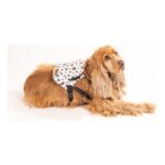 Meyf Köpek Sırt Çantası - Köpek Tasması Aparatlı - Patili Model L - Görsel 3