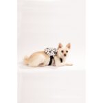 Meyf Köpek Sırt Çantası - Köpek Tasması Aparatlı - Patili Model L - Görsel 4