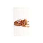 Meyf Köpek Sırt Çantası – Köpek Tasması Aparatlı – Arkadaş Model - Görsel 2