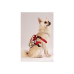 Meyf Köpek Sırt Çantası – Köpek Tasması Aparatlı – Arkadaş Model - Görsel 3