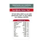 Canina Flex Collagen Glukozamin 2 Adet Köpekler Için Yeni Nesil Kemik Kas Eklem ve Kıkırdak Desteği. - Görsel 3