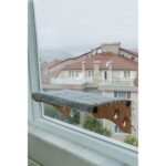 Ata Home Büyük Boy  Yeni Ahşap Cama Yapışan Kedi Yatağı Vantuzlu Cam Yatağı Terası - Görsel 4