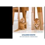 Bant Marketim Kedi Caydırıcı Eğitim Bandı, Mobilyalar Için Tırmalamaya Karşı Önleyici, %100 ŞEFFAF10 cm x 10 mt - Görsel 5