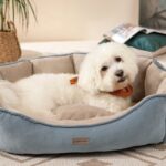 Yataş Bedding Oscar Kedi & Köpek Yatağı - Orta Boy - Görsel 2