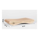 Felidae Oluklu Mukavva Karton, Kedi Tırmalama Kanepesi - Small (50x10x24cm) Kedi Tırmalama Kartonu, Kedi Tırmalama Direği, Kedi Tırmalama Tahtası, Kedi Tırmalama Lounge - Görsel 2