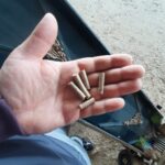 Pelin Pelet Kedi Kumu Çam Pelet 6 mm - 40LT (20 Kg) - Görsel 2