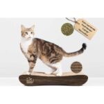 Felidae Oluklu Mukavva Karton, Kedi Tırmalama Kanepesi - Small (50x10x24cm) Kedi Tırmalama Kartonu, Kedi Tırmalama Direği, Kedi Tırmalama Tahtası, Kedi Tırmalama Lounge - Görsel 4