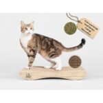 Felidae Oluklu Mukavva Karton, Kedi Tırmalama Kanepesi - Small (50x10x24cm) Kedi Tırmalama Kartonu, Kedi Tırmalama Direği, Kedi Tırmalama Tahtası, Kedi Tırmalama Lounge - Görsel 3