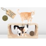 Felidae Kedi Tırmalama Kanepesi - Xlarge - Görsel 3