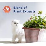 Ever Clean Fast Acting Hızlı Topaklanma Kedi Kumu - 10 Lt x 2 Adet - Görsel 3