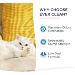 Ever Clean Fast Acting Hızlı Topaklanma Kedi Kumu - 10 Lt x 2 Adet - Görsel 5