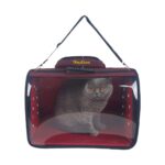 La Vista  Volmin Petshop Kedi Köpek Jumbo Tomris Sırt Taşıma 50X32X32H - Görsel 2