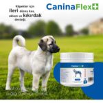 Canina Flex Collagen Glukozamin 2 Adet Köpekler Için Yeni Nesil Kemik Kas Eklem ve Kıkırdak Desteği.