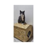 Zekimöble Dış Mekan Yağmura Ve Soğuğa Dayanıklı Osb Kedi Evi (deniz Tutkallı) Kedi Evi Ahşap