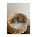 Beyaz Atölye Kedi Köpek Sepeti Büyük Boy