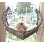 Lüxperi Kedi Cam Yatağı & Cam Askılı Vantuzlu Kedi Yatağı - Görsel 2