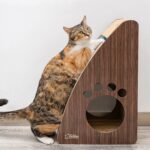 Felidae Doğal Kedi Otlu ve Zilli Toplu Kedi Tırmalama Kartonu (X-Large), Sıkıştırılmış Oluklu Mukavva Karton Kedi Tırmalaması 60X39X24CM - Görsel 3