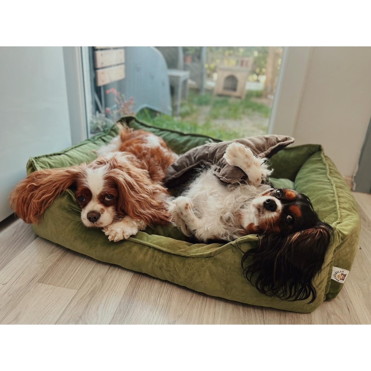 110000442305832.jpg Patili Evler Köpek Yatağı Büyük Boy 65X85 cm Karışık Renklerde Gönderilecektir - Görsel 1