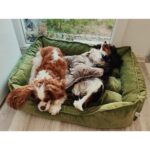 Patili Evler Köpek Yatağı Büyük Boy 65X85 cm Karışık Renklerde Gönderilecektir - Görsel 5