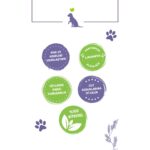 Dr. Lavender Lavanta Yağlı Köpek Şampuanı & Pet Tüy Açıcı Topaklanma ve Dökülme Önleyici Bakım Spreyi - Görsel 5