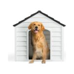 Milo Plastik Pet Kulübe Dış Mekan Suya Dayanıklı - Görsel 5