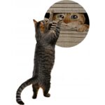 Glipet Desenli Çift Taraflı Kedi Tırmalama Paspası Yuvarlak 36 x 36 cm - Görsel 2