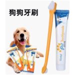 Canlı Petshop Kedi Köpek Diş Fırçası ve Diş Macunu Seti Yenilebilir Diş Macunu Dental Kit Ağız ve Diş Sağlık Seti DF442 - Görsel 3