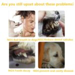 Canlı Petshop Kedi Köpek Diş Fırçası ve Diş Macunu Seti Yenilebilir Diş Macunu Dental Kit Ağız ve Diş Sağlık Seti DF442 - Görsel 4