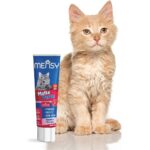 Mensy Malte Paste 125  gr Vitamin D3E  Prebiyotik Taurin Biotin - Görsel 3