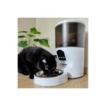 Internal Veterinary Systems Paslanmaz Mama Kaseli  – Açılı Kameralı - Otomatik Pet Mama Kabı - Görsel 2