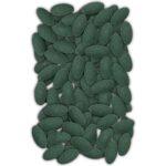 Amore Osso Glukozamin 2X72LI ve 12LI Stick, Köpek Joint Support, Avida Dog Lamb Sticks Ödül Maması - Görsel 5