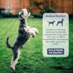 Dodonut HappyDerm Büyük Ve Orta Irk Köpekler Biotin Katkılı Deri Ve Tüy Sağlığı Besin Takviyesi, 100 Tablet - Görsel 4