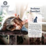 Dodonut LoveyMalt Kediler Için Tüy Yumağı Önleyici ve Giderici Malt Besin Takviyesi, Doğal Balkabağı, 100 gr - Görsel 4