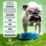 Dodonut NaturaFlora Köpekler için Probiyotik ve Prebiyotik Besin Takviyesi, 60 Adet Çiğneme Tableti - Görsel 4