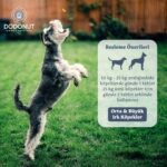 Dodonut NaturaFlora Köpekler için Probiyotik ve Prebiyotik Besin Takviyesi, 60 Adet Çiğneme Tableti - Görsel 5