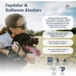 Dodonut Multiboost Köpekler Için Multivitamin ve Amino Asit Besin Takviyesi, 150 Tablet - Görsel 2