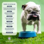 Dodonut Multiboost Köpekler Için Multivitamin ve Amino Asit Besin Takviyesi, 150 Tablet - Görsel 3