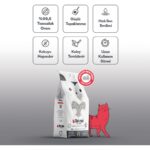 Toi Moi Kokusuz Aktif Karbonlu Sodyum Bentonit Kedi Kumu 10 Kg - Görsel 2