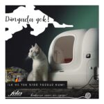 Feles %100 Tozsuz Kedi Kumu 10 Lt X2 Adet - Görsel 4