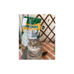 Daphne Cats Litter 10 Lt x 2 - Görsel 3