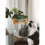 Daphne Cats Litter 10 Lt x 2 - Görsel 4