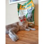 Daphne Cats Litter 10 Lt x 2 - Görsel 5