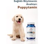 Benifital Puppytamin Tablet Yavru Köpeklerin Gelişimini Destekleyici Vitamin ve Mineral Tableti 75 Adet - Görsel 4